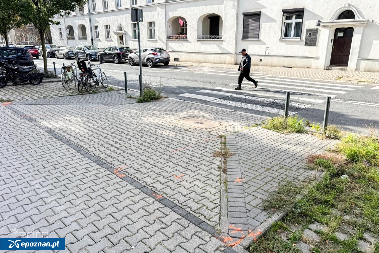 fot. B. Szczepaniak / ZDM