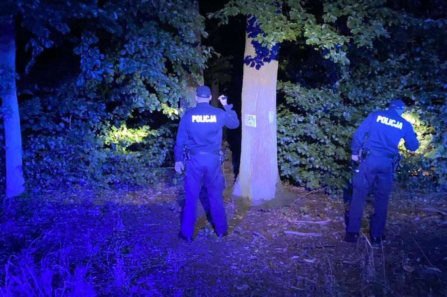 Policjanci przeczesali zalesiony teren przy poznańskiej ulicy. Ukrywały się tam trzy poszukiwane osoby