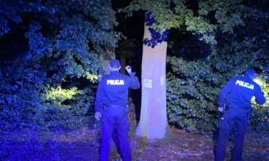 Policjanci przeczesali zalesiony teren przy poznańskiej ulicy. Ukrywały się tam trzy poszukiwane osoby
