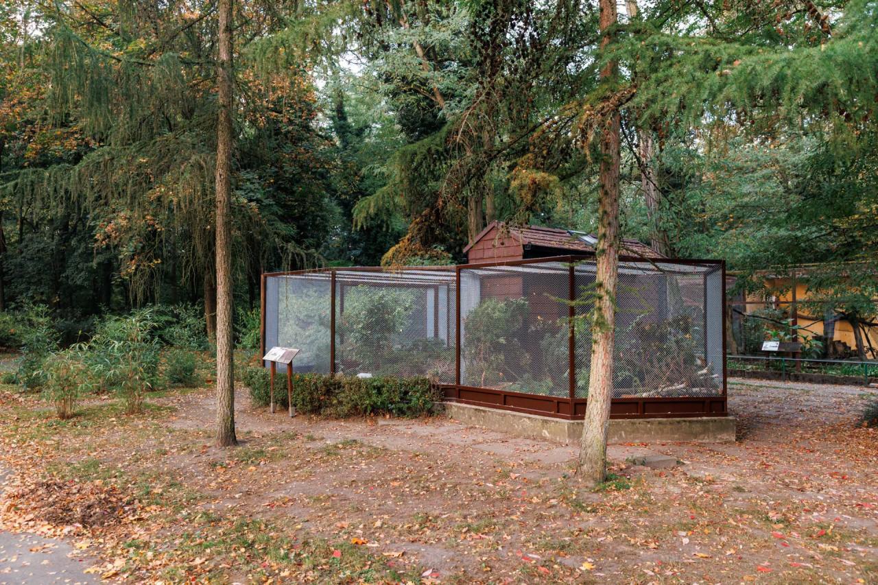 Taka konstrukcja stanęła na terenie poznańskiego ZOO