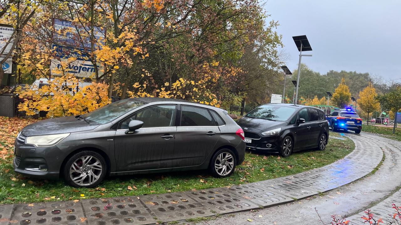 Auta zaparkowane na trawie w poznańskim parku, strażnicy miejscy nie zareagowali?
