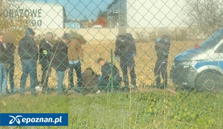 Mężczyzna z ranami kłutymi szyi i klatki piersiowej znaleziony na poznańskiej ulicy nie przeżył. Jest więcej informacji
