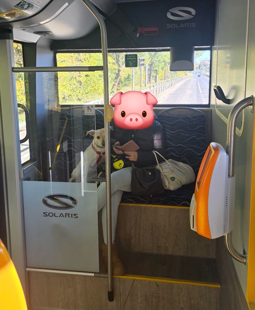 Z psem na siedzeniu jechała autobusem. Na uwagę zareagowała agresją