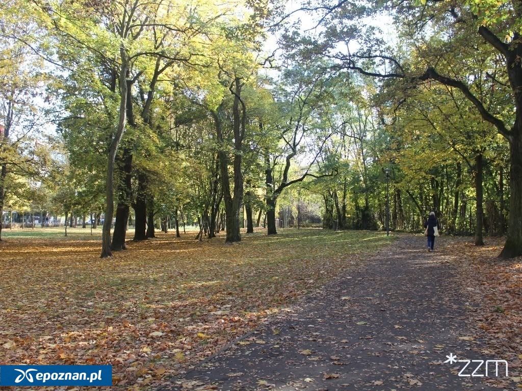 fot. ZZM Poznań