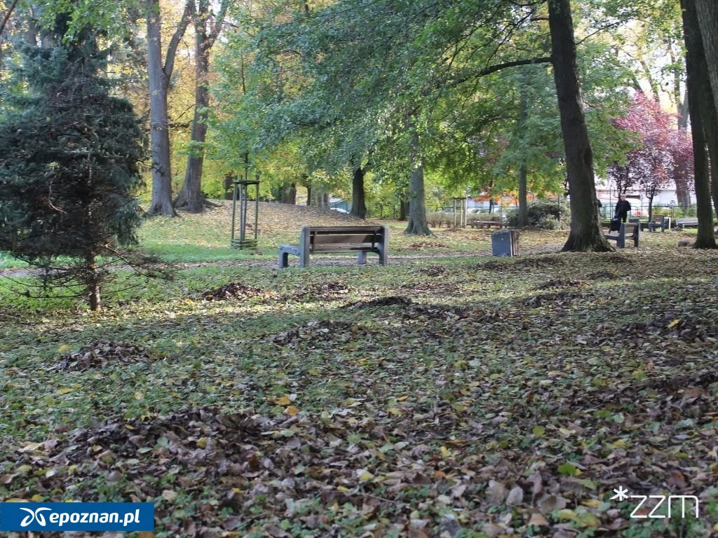 fot. ZZM Poznań
