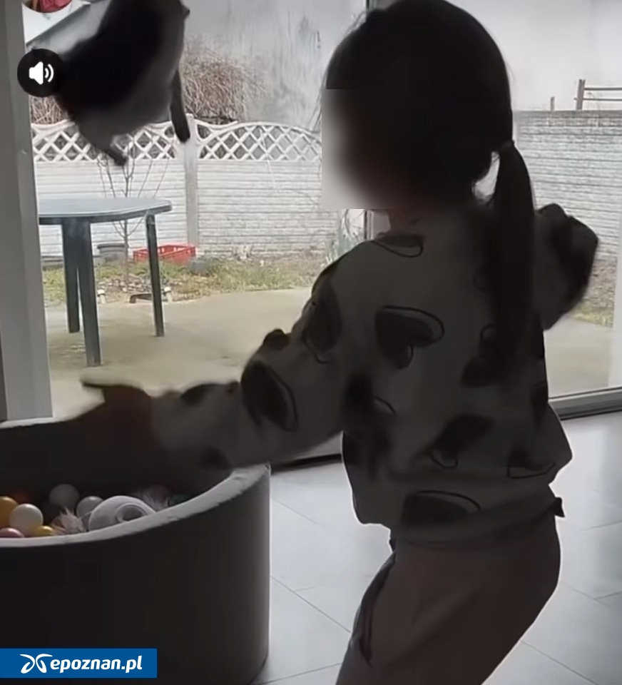 fot. Schronisko dla zwierząt w Kaliszu / FB