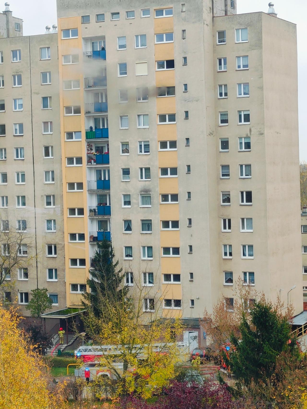 Pożar w wieżowcu na poznańskim osiedlu. Nie żyje kobieta