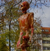 fot. Włodzimierz Hoppel