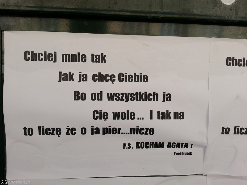 fot. Roman Wawrzyniak