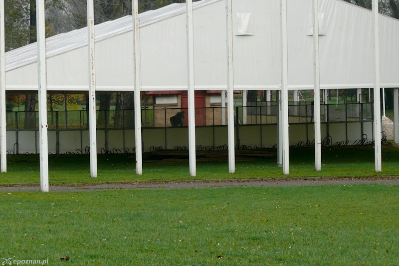 fot. Elżbieta Skowron