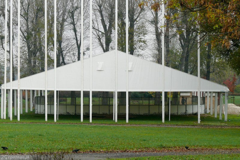 fot. Elżbieta Skowron