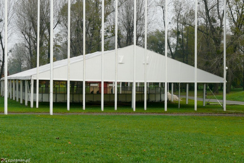 fot. Elżbieta Skowron
