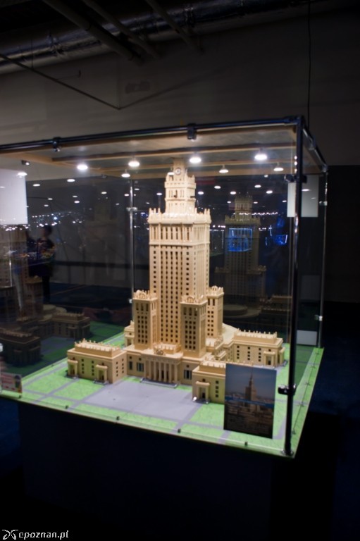 fot. Maciej Kopiński