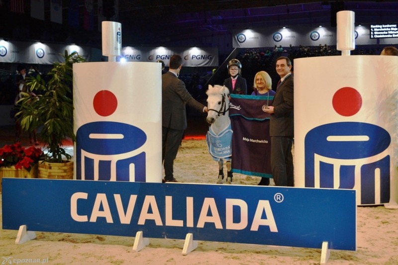 fot. Cavaliada Poznań