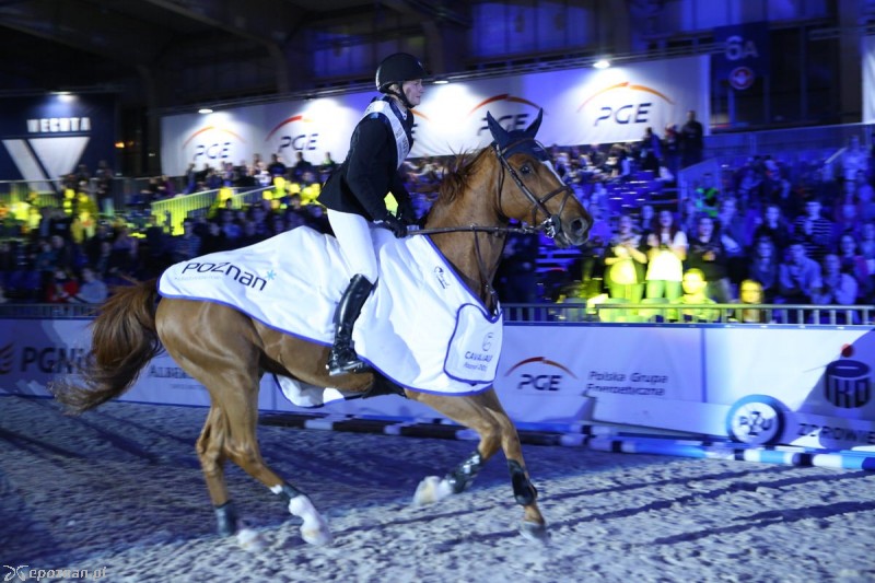 fot. Cavaliada Poznań