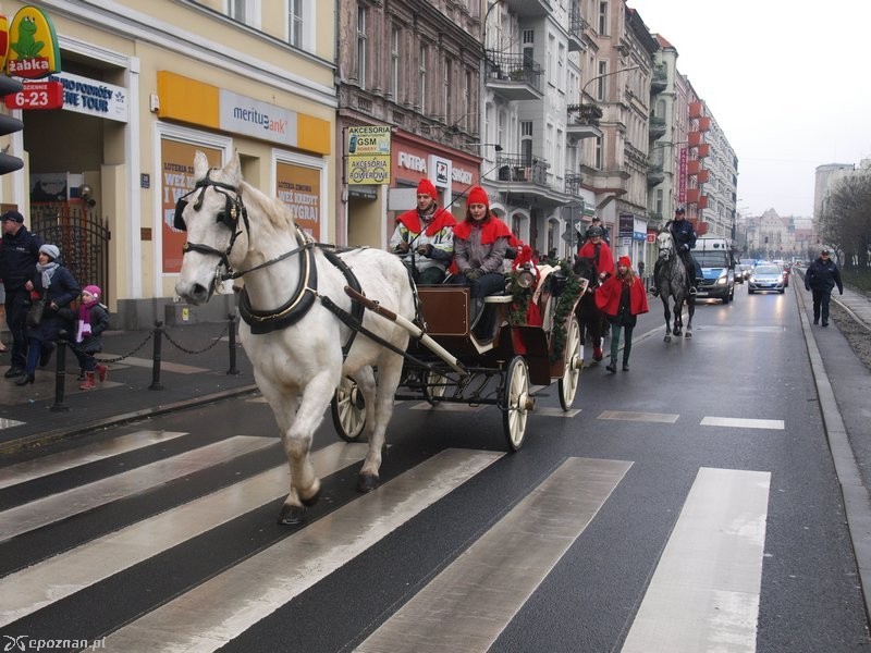 fot. Piotr Sagalara