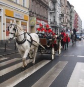 fot. Piotr Sagalara