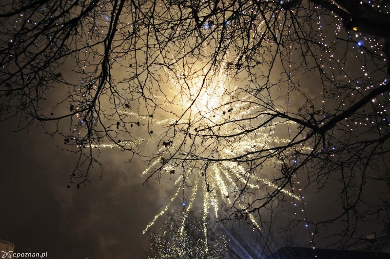 fot. Adam Janik