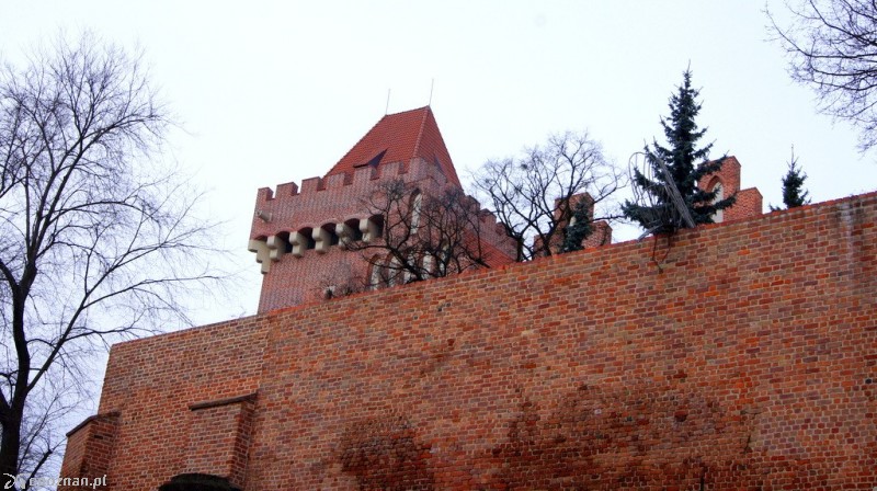fot. Włodzimierz  Hoppel