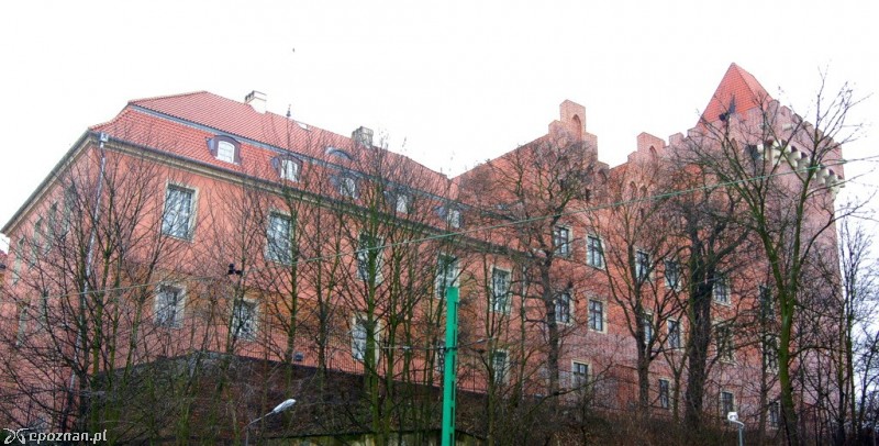 fot. Włodzimierz  Hoppel