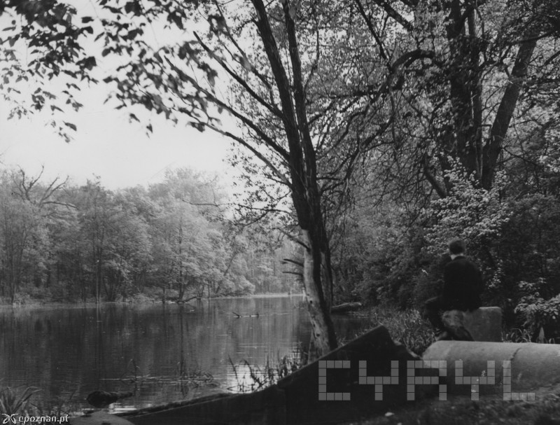 Staw Grundela | fot. Michał Fertyk / CYRYL