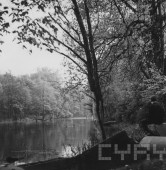 Staw Grundela | fot. Michał Fertyk / CYRYL