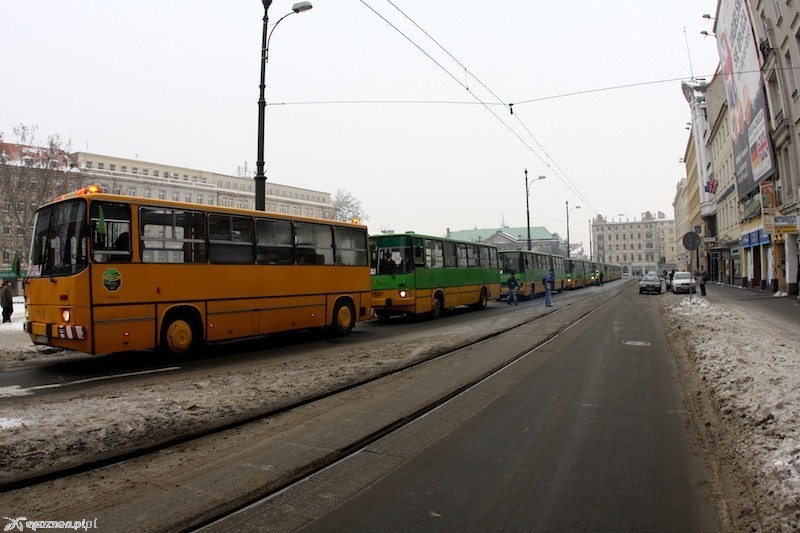 fot. Łukasz Ogrodowczyk - archiwum
