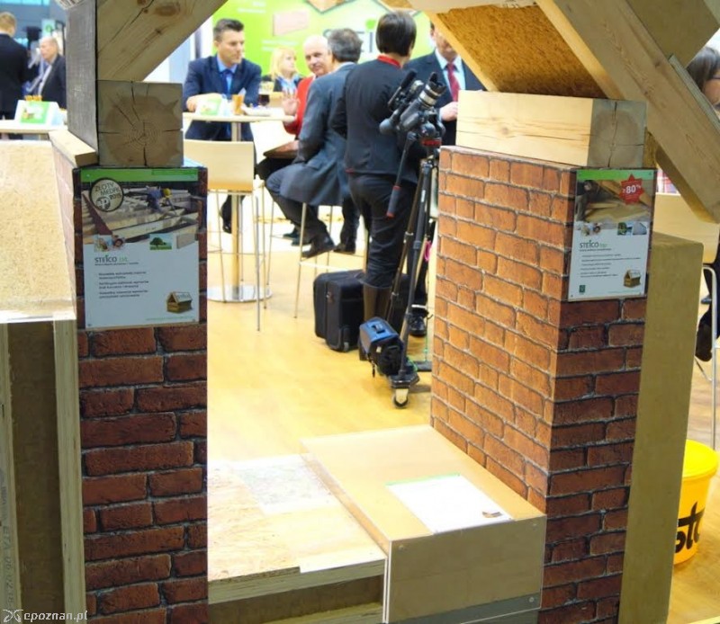 fot. Włodzimierz  Hoppel