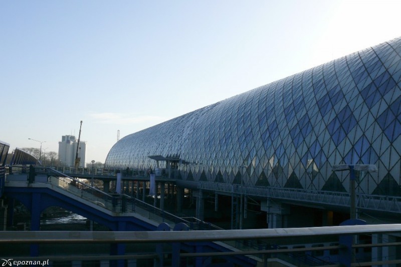fot. Elżbieta Skowron
