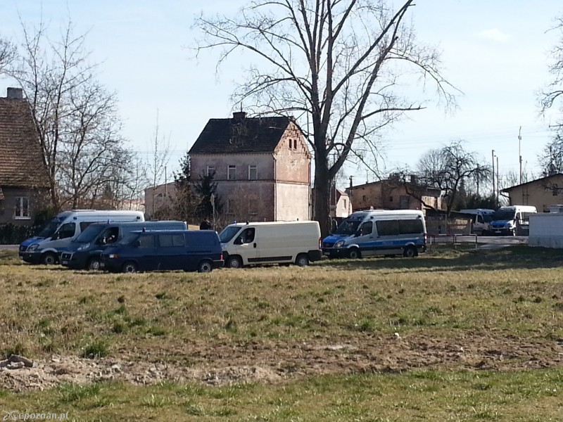 fot. Roman Wawrzyniak 