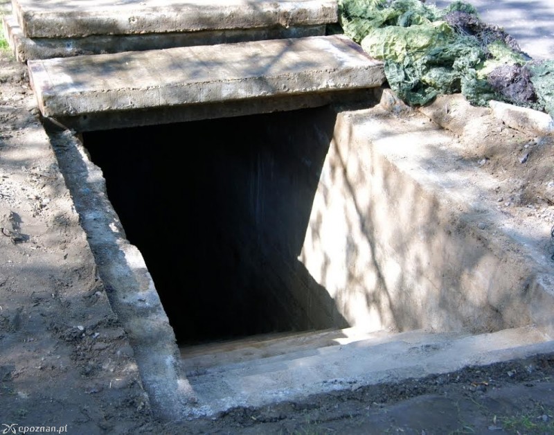 fot. Włodzimierz  Hoppel