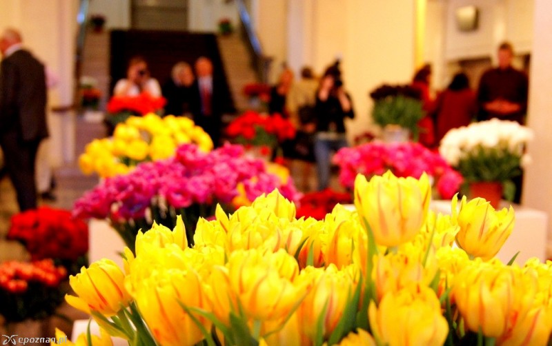 fot. Włodzimierz  Hoppel