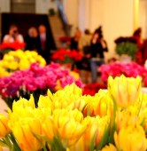 fot. Włodzimierz  Hoppel