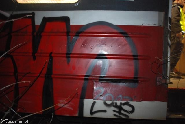 fot. Policja w Ostrowie Wlkp.