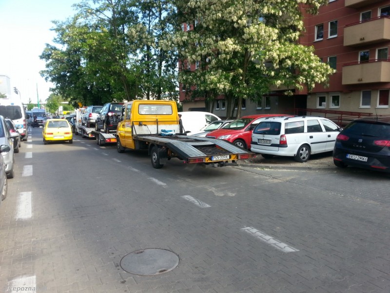 fot. czytelnik