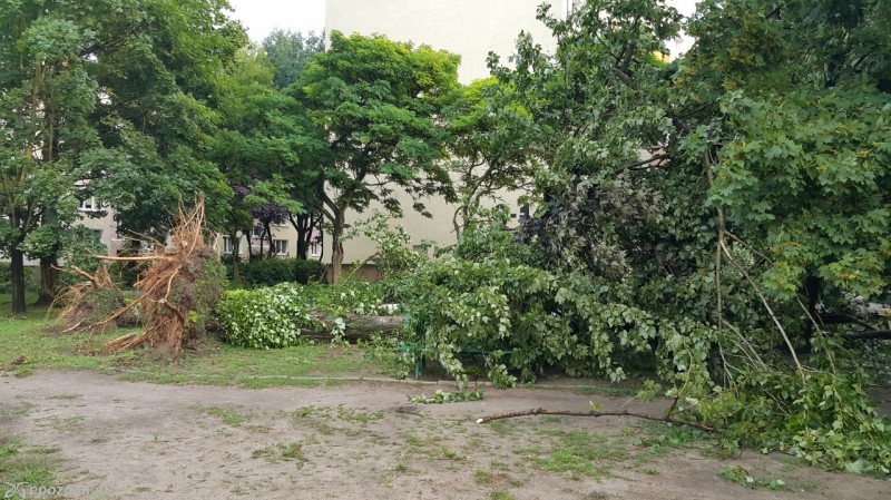 Os. Powstań Narodowych | fot. Krzysztof Nunek Roszyk 
