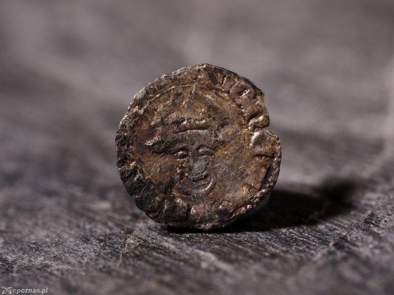 Denar wielkopolski Kazimierza Wielkiego | fot. K. Zisopulu-Bleja/Muzeum Archeologiczne w Poznaniu