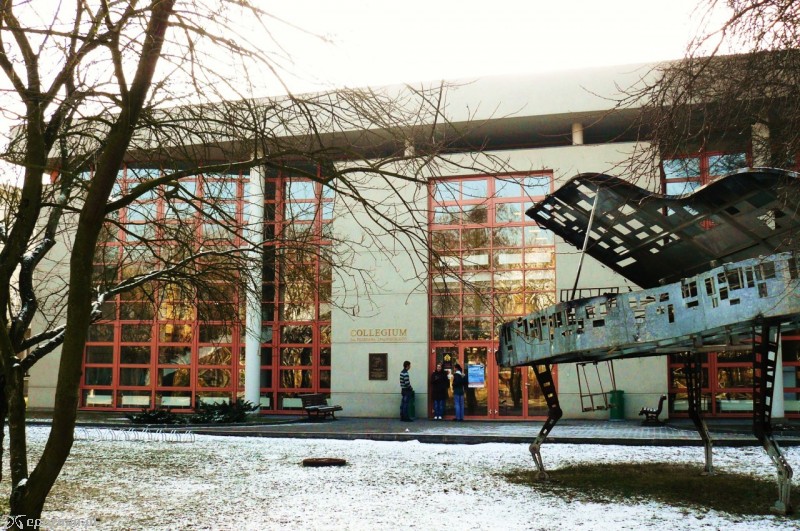 Jeden z budynków kampusu przy ul. Szamarzewskiego fot. wikipedia commons