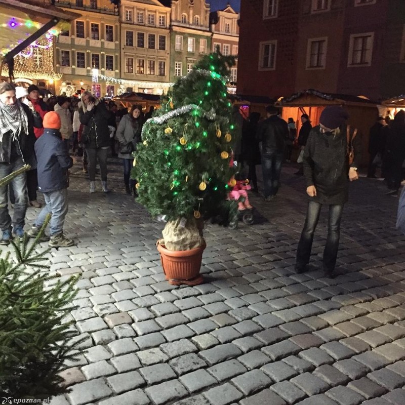Człowiek-choinka pojawił się na Starym Rynku | fot. Facebook Człowiek-choinka fanpage