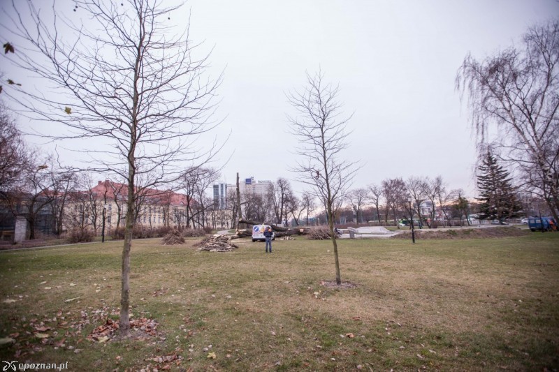 Do ataku doszło w Parku Marcinkowskiego | fot. Prawo do miasta - archiwum