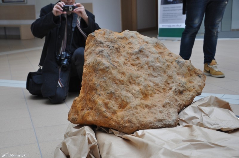 Najwiekszy meteoryt znaleziony na Morasku | fot. Jakub Marciniak