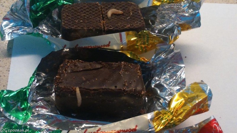 Larwy w czekoladowych cukierkach | fot. Sanepid