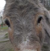 fot. ZOO