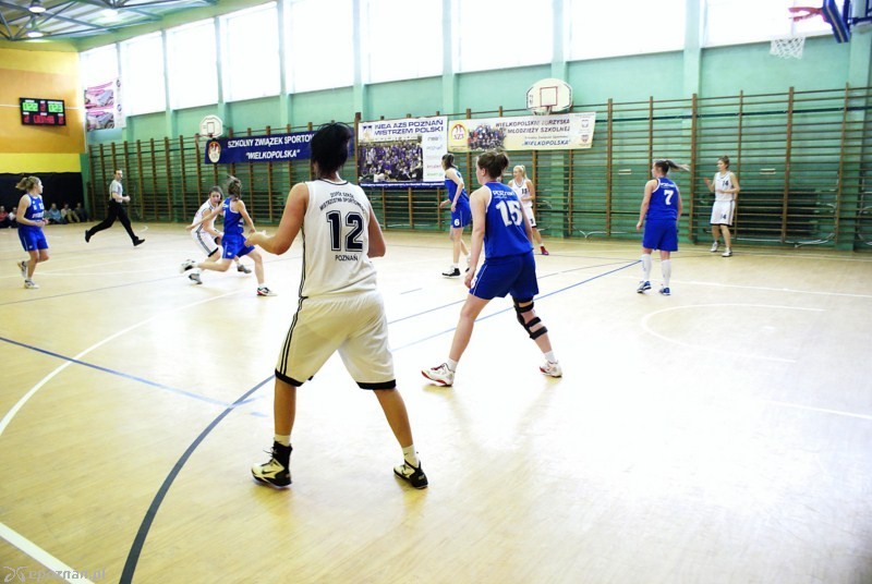 fot. Tomasz Wojewoda