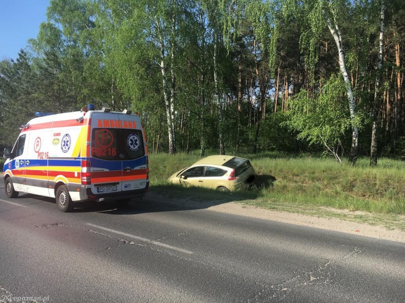 fot. Michał Zagórski