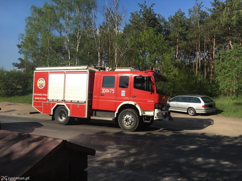 fot. Michał Zagórski