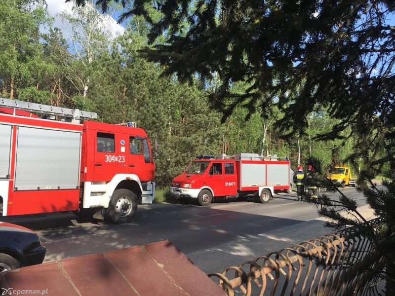 fot. Michał Zagórski