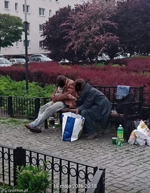 fot. czytelnik
