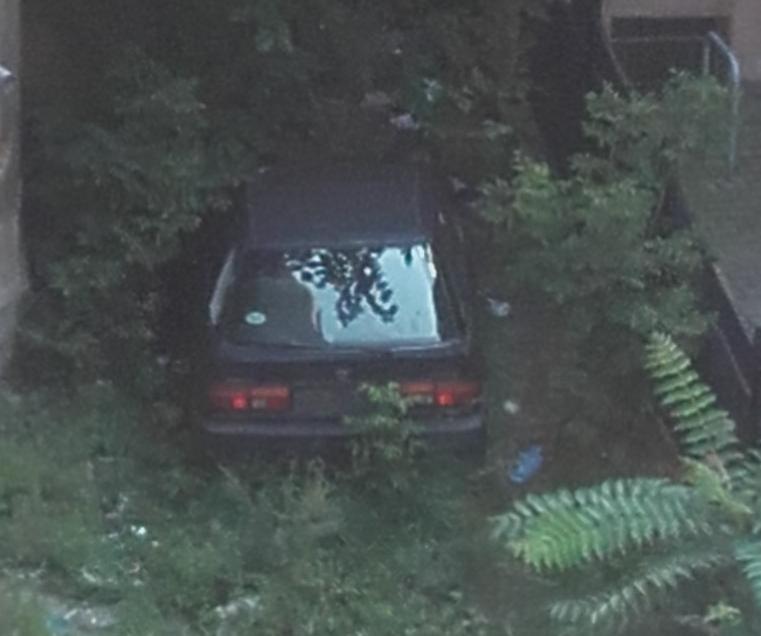 Opuszczone auto stoi na podwórzu od lat | fot. czytelniczka