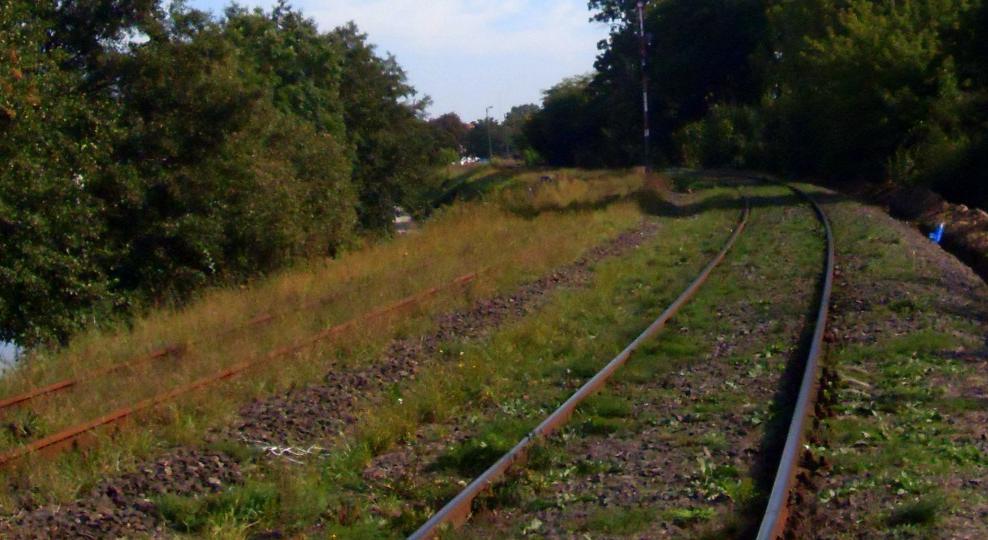 Linia kolejowa nr 356 w okolicy Wągrowca | fot. wikimedia